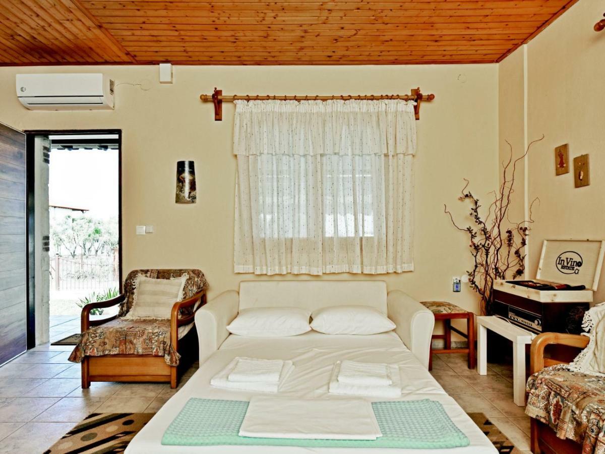 Villa Trifon By Rentalspro Services -Nea Potidea Halkidiki エクステリア 写真